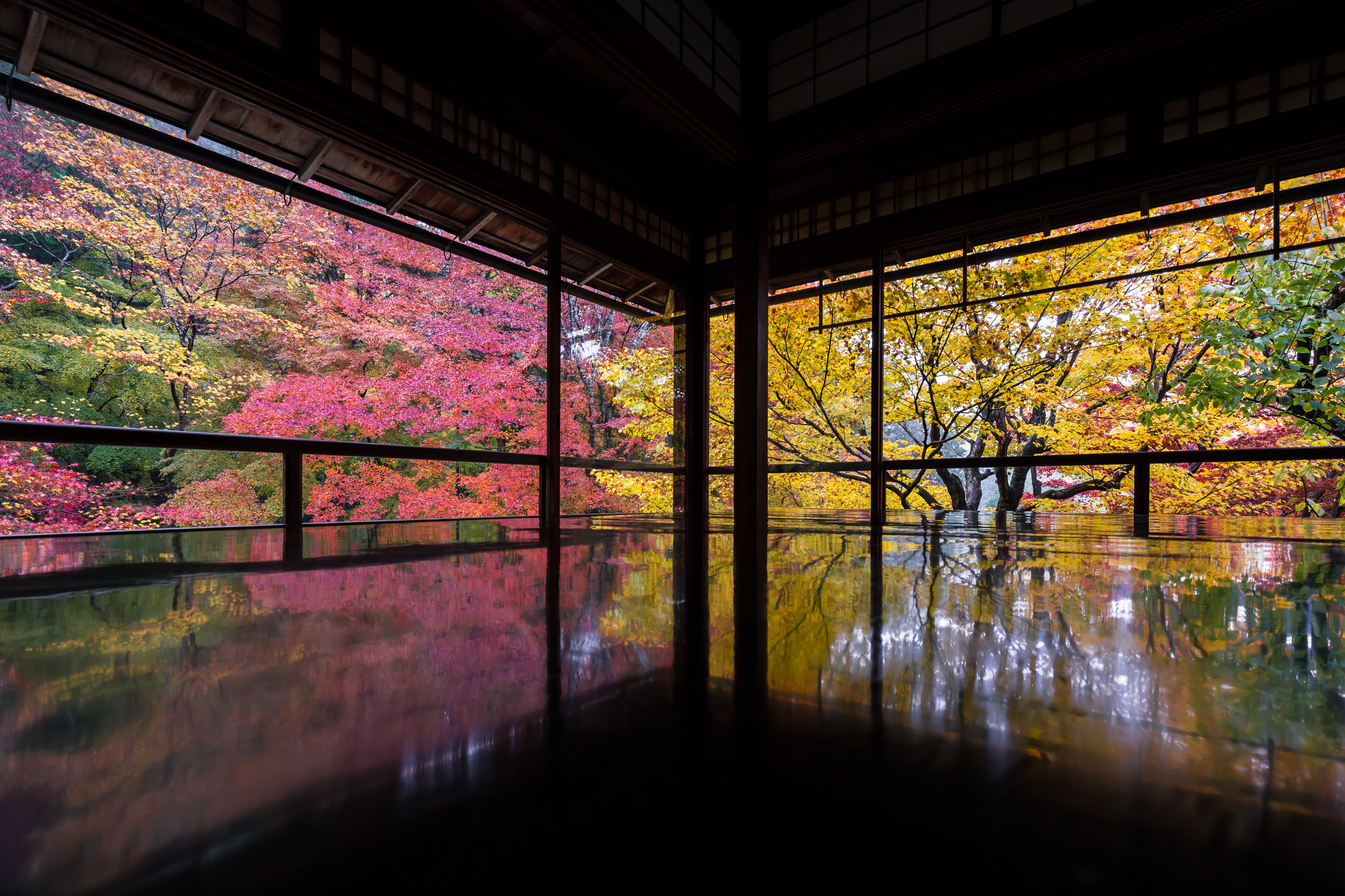1720428554783511.jpeg AdobeStock_184001926.jpeg